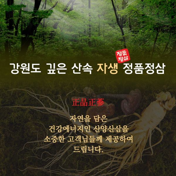 산양산삼 5~6년근 10뿌리
